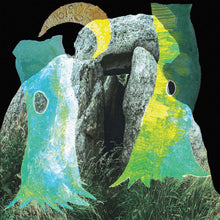 Load image into Gallery viewer, plantoid - FLARE LP