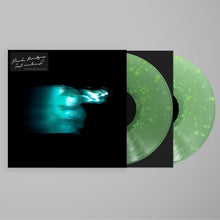 Load image into Gallery viewer, Phoebe Bridgers - Lost Weekend