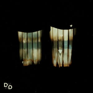Divide and Dissolve - Insatiable LP