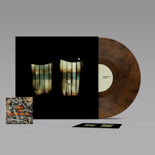Load image into Gallery viewer, Divide and Dissolve - Insatiable LP
