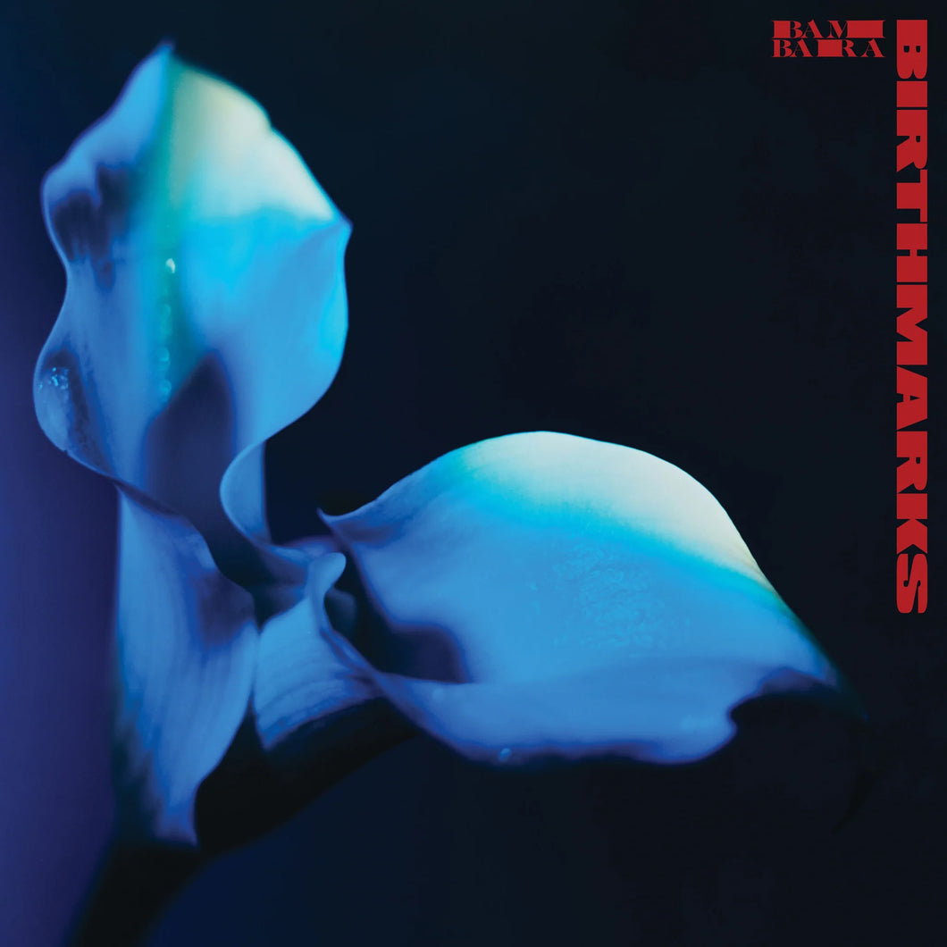 Bambara - Birthmarks CD