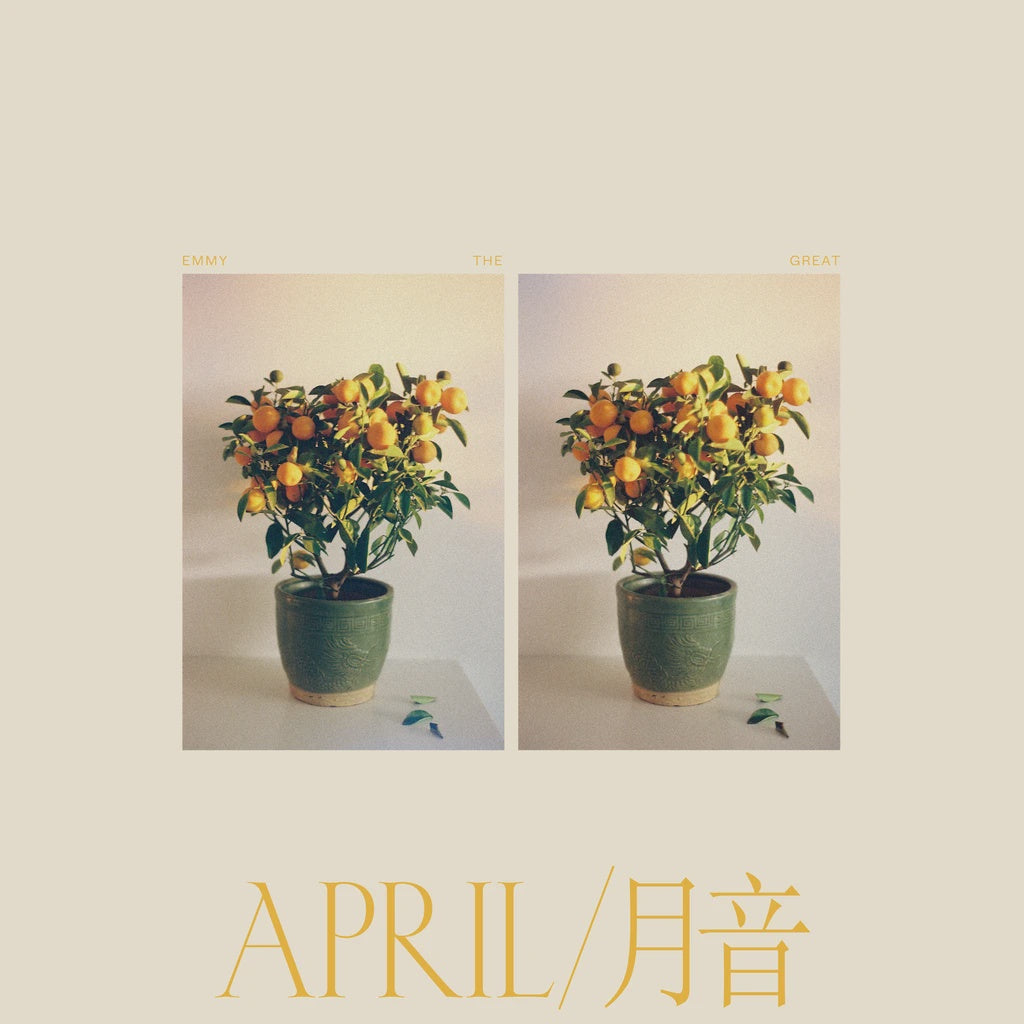 Emmy the Great  - April 月音 LP