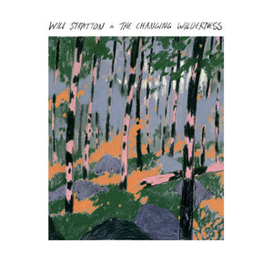 Will Stratton - The Changing Wilderness LP