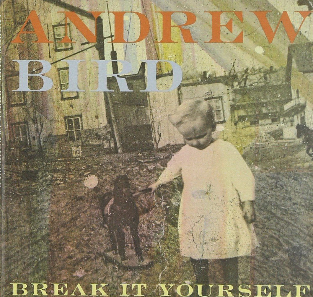 Andrew Bird - Break It Yourself DVD
