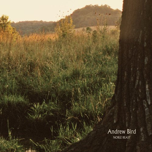 Andrew Bird - Noble Beast CD
